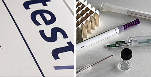Schimmel entfernen / testen